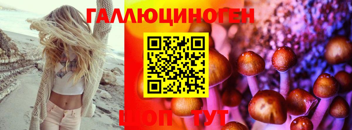 Псилоцибиновые грибы прущие грибы  Вход с VPN  сколько стоит  Ревда 