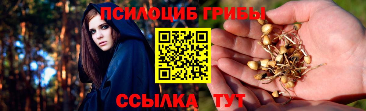 Псилоцибиновые грибы мухоморы Ревда