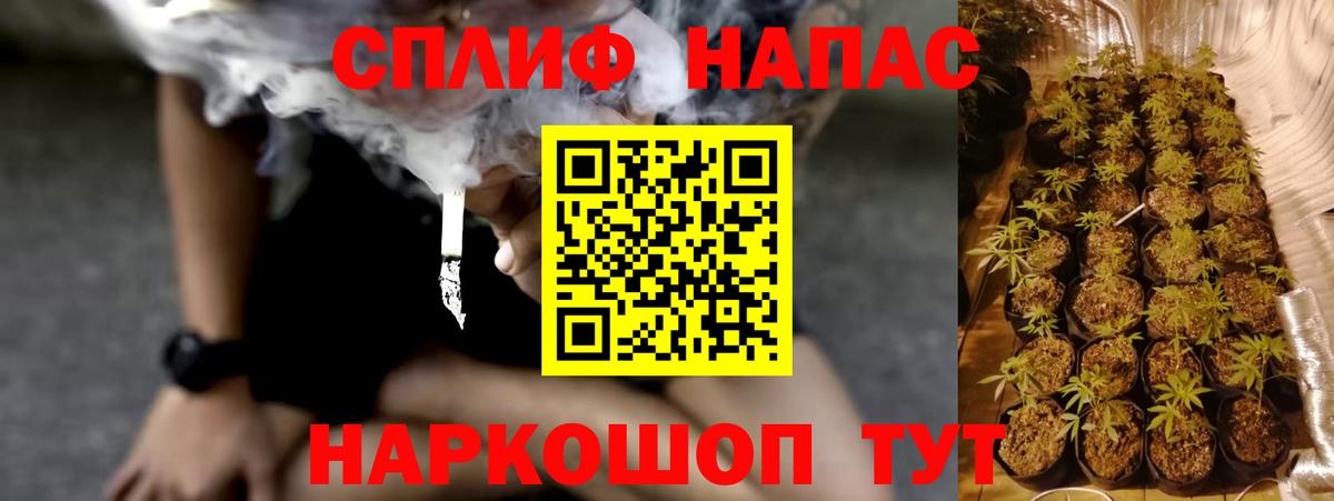 COCAIN Ревда